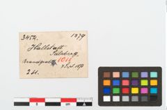 Etikett zu Bronzespiralröhrchen (NHMW-PRAE-003454)